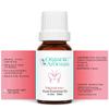 Signature Pure Essential Oil Blend by Organic Aromas, 0.3 oz, 10ml, Elemi, Clary Sage, Cajeput, Moroccan Chamomile, Bergamot Essential Oils view 2