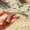 Walking Stick Handle Brass Cane Tip for Men and Women Handmade Design Gift (Branch Shaped Handle) view 1