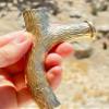 Walking Stick Handle Brass Cane Tip for Men and Women Handmade Design Gift (Branch Shaped Handle) view 4