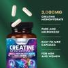 Built by Nature Creatine Monohydrate Pills - Micronized Creatine Supplement for Men & Women - Muscle Strength, Energy, Endurance, and Recovery - Gluten-Free, Vegan, Non-GMO - 120 Capsules view 3