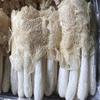 Bamboo Fungus Dictyophora Dried Zhusun (500g(17.64oz)) view 3