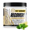 Outwork Nutrition Post Workout Recovery Powder - Creatine Monohydrate, KSM-66 Ashwagandha & Tart Cherry - Speeds Recovery, Eases Soreness - Creatine Powder for Men & Women, Iced Tea, 240 Gr view 1