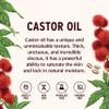 Banyan Botanicals Organic Castor Oil  Pure and Refined Castor Oil  for Face and Skin Care, Hair Care, and Natural Beauty  8 oz  Non GMO, Hexane Free, Vegan, and Cruelty Free view 2