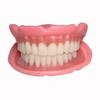 Easy Denture: Boil-&-Bite Functional Denture, Self-fit at Home in Mins, Adjusts for Narrow or Wide Arches, Long-term or temporary Solution, Eat, Drink and Smile Confidently, Small/Medium Denture Set view 1
