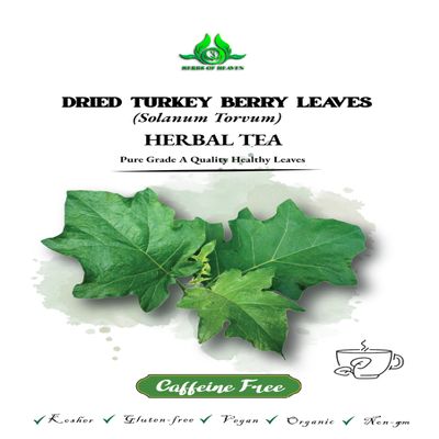 100 Turkey Berry Leaves Dried Healthy Well Cleaned Leaves- Pure & turkey Berry Leaves, Cultivated From Sri Lanka And Gluten Free