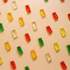 Sweetzo - Bulk Halloween Gummy Bears, Individual Trick or Treat Candy Bags, 24 Packs in Each (Pack of 2) view 4