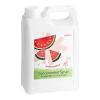 FixtureDisplays Watermelon Concentrated Syrup 64 Fluid Ounce WS-535SYPWTRMLN-NPF view 1