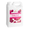 Dragon Fruit Concentrated Syrup 64 fl. oz. WS-535SYPDRAGON-NPF view 3