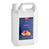 Mango Concentrated Syrup with Pulp 168 fl. oz. WS-535SYPMNGOP-NPF view 3