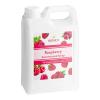 FixtureDisplays Raspberry Concentrated Syrup 64 Fluid ounce WS-535SYPRSPBRY-NPF view 1