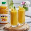 100% Crushed Mango Fruit Smoothie Mix 46 fl. oz. WS-103DR100MANG-NPF view 2