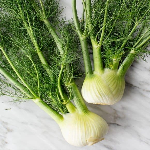 25 Fennel Seeds