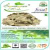 Rasna Rai Sanai Leaves - 400 GMS Rasna Leaves Ray Sani Rai Senna Pluchia lanceolata view 1