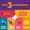 Fruit Snacks by Zest Delites, Fruit Leather Bars, Healthy Snacks for Adults & Kids, Vegan, Dried Apple-Based Pineapple, Mango, Blueberry, Raspberry Strips 0.88 oz x 36 view 4