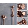 FDAVDNMG HandheldSprayer for Toilet Brass Portable Baby Cloth Diaper Sprayer Rose Gold Hand Held ToiletSprayer Head withHose and Bracket, for Feminine Wash, Pet Washing view 4