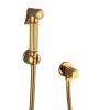 FDAVDNMG HandheldSprayer for Toilet Brass Portable Baby Cloth Diaper Sprayer Gold Hand Held ToiletSprayer Head withHose and Bracket, for Feminine Wash, Pet Washing view 1