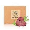 [Dr.ORGAMOON] Cactus Fruit Dietary Fiber Biscuit InBody Program 3 weeks (21packs/Box) view 1