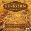 Einkorn Wheat - 100% Certified Organic Einkorn Whole Wheat Grain by PowerGrow System - Use for Sourdough Baking, Milling Flour, Cereal, Salads, Pasta etc. (Einkorn Wheat (10 Pounds)) view 3