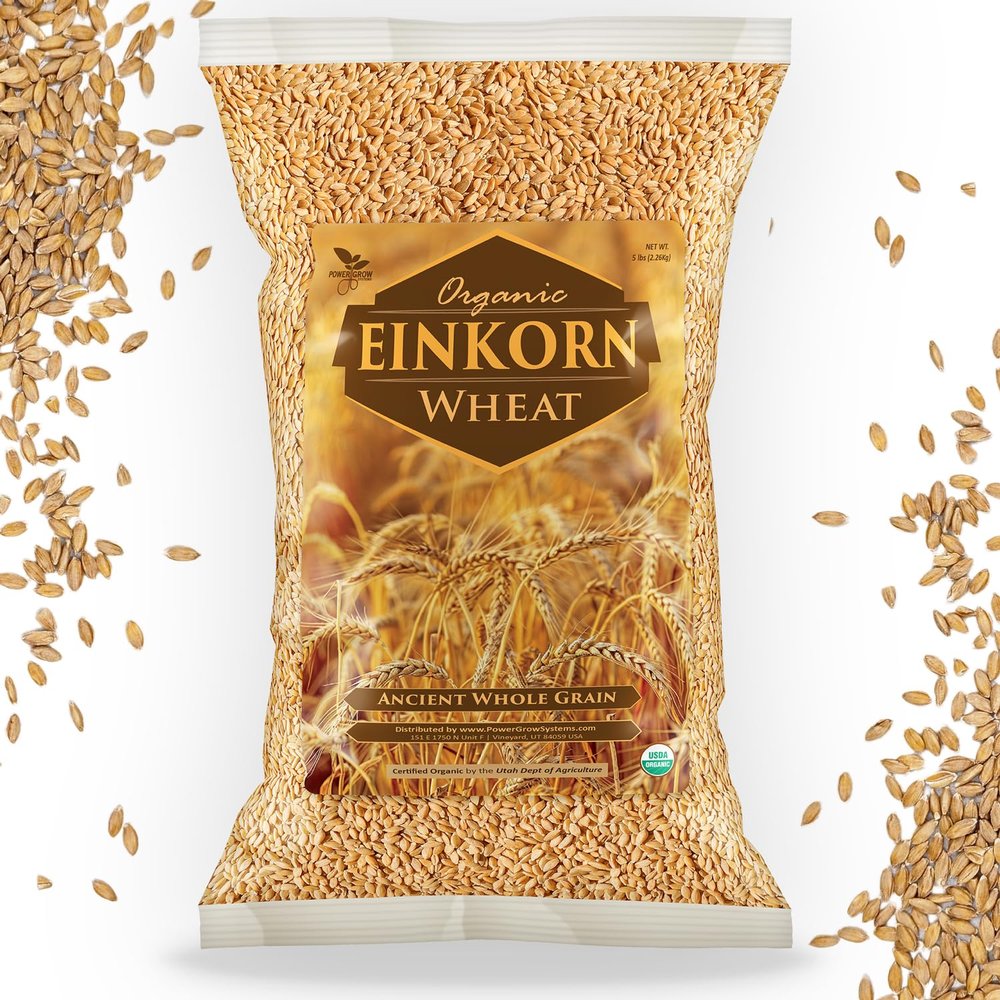 Einkorn Wheat Berries - 100% Certified Organic Einkorn Whole Wheat Grain (5 pounds) by PowerGrow Systems (Einkorn Wheat Berries 5 Pounds)