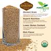 Einkorn Wheat Berries - 100% Certified Organic Einkorn Whole Wheat Grain (5 pounds) by PowerGrow Systems (Einkorn Wheat Berries 5 Pounds) view 3