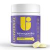 Universal U Calm + Focus Ashwagandha Chews  KSM-66 300 mg Clinically Studied Extract for Stress Relief, Mood Balance & Calm Energy  Lemon Flavor  60 Chews view 1