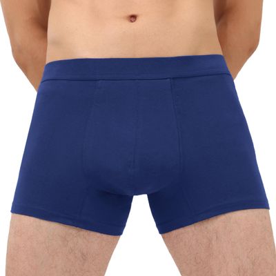 IRISMORII Washable Urine Incontinence Underwear for Men Bladder Leak Proof Absorbent Boxer Brief Odor Control 60 ML (Dark Blue L)