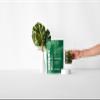 Greens Multi (Superberry Flavor) | Daily Nutritional Blend with Vitamins, Prebiotics & Probiotics | 8g Single Scoop view 4