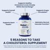 1MD Nutrition CholestMD with Olive Leaf Extract, Bergavit, Niacin, Garlic | 60 Capsules view 3