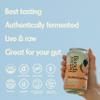 Better Booch Organic Kombucha - Probiotic & Antioxidant Rich Raw Sparkling Tea - Low Sugar, Vegan, Gluten Free - Gut Healthy Active Cultures,12 Fl Oz Cans, 12-Pack (Strawberry Lemonade) view 4