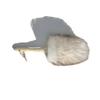1 Piece Chicken Duster Thickened Small Desktop Broom Cleaning Supplies Home Dust Sweeping Cute Two-Tone Wool Dusting Duster Easier to Grip, Comfortable Feeling, Hanging Ring for Easy Storage (Brown) view 1