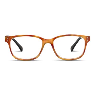 Nature Walk - Amber Tortoise/Black +2.75
