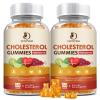 (2 Pack) Cholesterol Supplements Gummies for Cholesterol Healthy, Plant Sterols & Stanols, Red Yeast Rice, Citrus Bergamot Complex for Cholesterol, Maintain Healthy Cholesterol Levels - 60 Day Supply view 1
