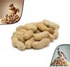 C.J. Dannemiller Raw Jumbo Peanuts in the Shell, 10 LB Bulk Bag, Great for Wildlife Like Squirrels & Birds view 1