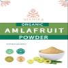 VISHIKA - best Amla Powder -Immune Support, Vitamin C for Immune System, Vegan, Kosher, Ayurvedic Superfood, Antioxidants, Non-GMO Amla Powder Organic 100 Gram view 3