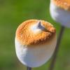 Candy With A Twist - Individually Wrapped Marshmallows - 1 inch (2 per package) x 96 Packages = 192 Total Marshmallows - Perfect for DIY S'mores, Wedding Party Favors, & Hot Chocolate - Round view 3