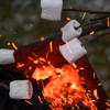 Candy With A Twist - Individually Wrapped Marshmallows - 1 inch (2 per package) x 96 Packages = 192 Total Marshmallows - Perfect for DIY S'mores, Wedding Party Favors, & Hot Chocolate - Round view 4