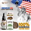 Lone Star Mushrooms Turkey Tail Dual Mushroom Extract, 2 fl oz, Gut Health, Aids Digestion, Immune Support view 3