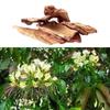 7.05oz /200g Varuna Bark Powder | Crataeva Nurvala | Varuna Powder |Varun Powder |Non GMO, Vegan view 2