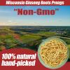 American Wisconsin Ginseng Roots Prongs - Non-GMO Ginseng Roots Wisconsin Ginseng Roots Can Be Used for Soup,Porridge,Tea,Etc. view 2