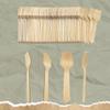 Disposable Square End Tasting Spoons, Mini Spoons Sampling Ice Cream Spoons 4 inches, Disposable Wooden Spoons (50) view 4