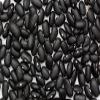 Organic Black Turtle Beans | Heirloom | NON-GMO | USA GROWN | Frijoles Tortuga | Bulk (2 Pounds) view 2