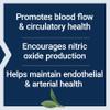 Life Extension NitroVasc Boost, Blood Flow Supplement, Nitric Oxide Support, Heart Health, Cardiovascular Support, L-arginine, Gluten-Free, Non-GMO, Vegetarian, 1 Scoop, 30 Servings view 4
