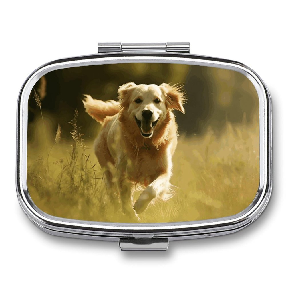 Dog Running on The Grass Square Pill Box Travel Portable Pill Case 2 Compartment Medicine Metal Tablet Vitamin Holder Organizer for Purse Pocket
