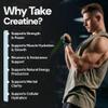 Mons Pura 100% Pure Micronized Creatine Monohydrate Powder (500g) - Unflavored Monohydrate Creatine for Men & Women to Support Muscle Growth, Strength & Recovery - 5g Per Serving (100 Servings) view 3
