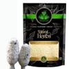1.76 0z / 50g Coprinus Comatus Mushroom Powder - by Cordial view 1