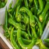 Fresh Bright Green Shishito Peppers by RawJoy Farms view 1