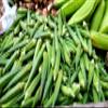 Fresh Green Okra by RawJoy Farms view 2