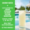 Reef Replenish Hydrating Electrolyte Drink Mix - 30 Servings - Hydration Powder w/Coconut Water - Non-GMO, No Added Sugar, 5 Key Electrolytes + Vitamins (30 Servings, Lemon Lime) view 2