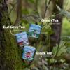 Lazika Loose Leaf Tea Set, Black Tea, Green Tea, Earl Grey, Tea Gift Set for Tea Lovers, 3.35 Oz (Pack of 3) view 2