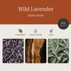 Drift Wild Lavender Scented Premium Candle - 60 Day Burn Time - 10.5 oz view 4